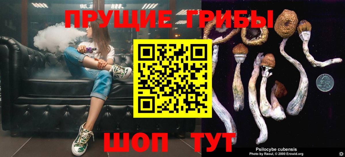 Галлюциногенные грибы Magic Shrooms  Вход с VPN  Галлюциногенные грибы Psilocybe  Топки 